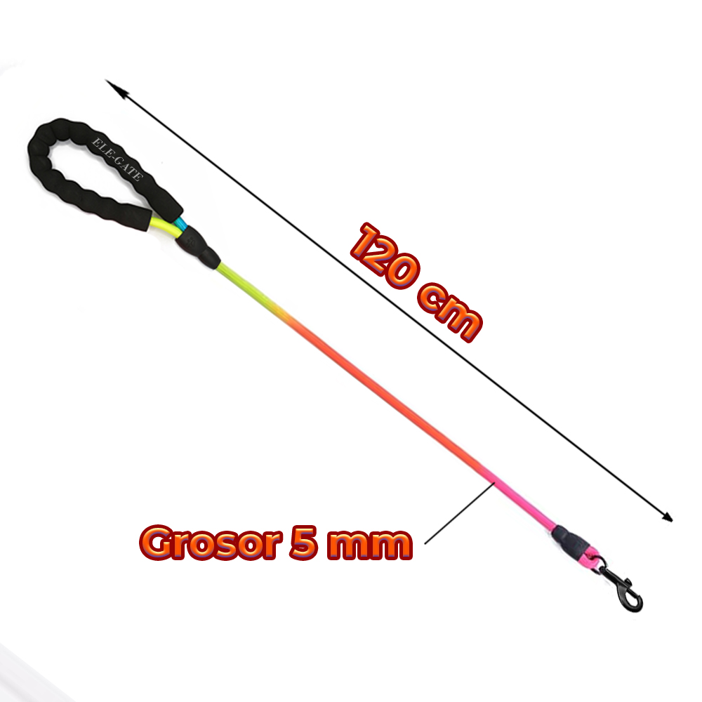 Correa Resistente y Anti tirones para Perros Chicos - Image 5