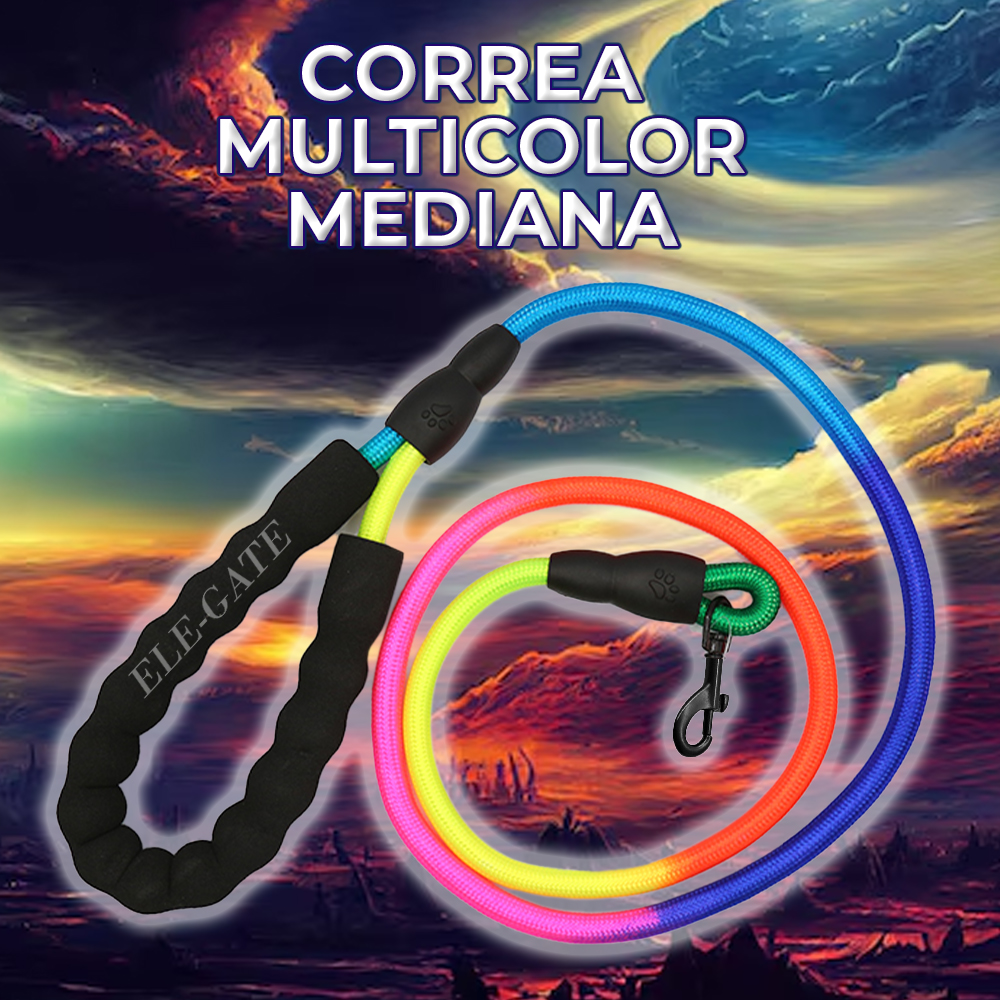 Correa Multicolor con agarradera de Espuma tamaño Mediana