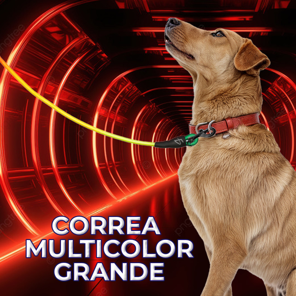 Correa Multicolor Grande