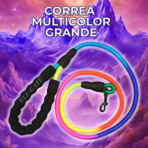 Correa Multicolor Grande para Perro con Agarradera de Espuma