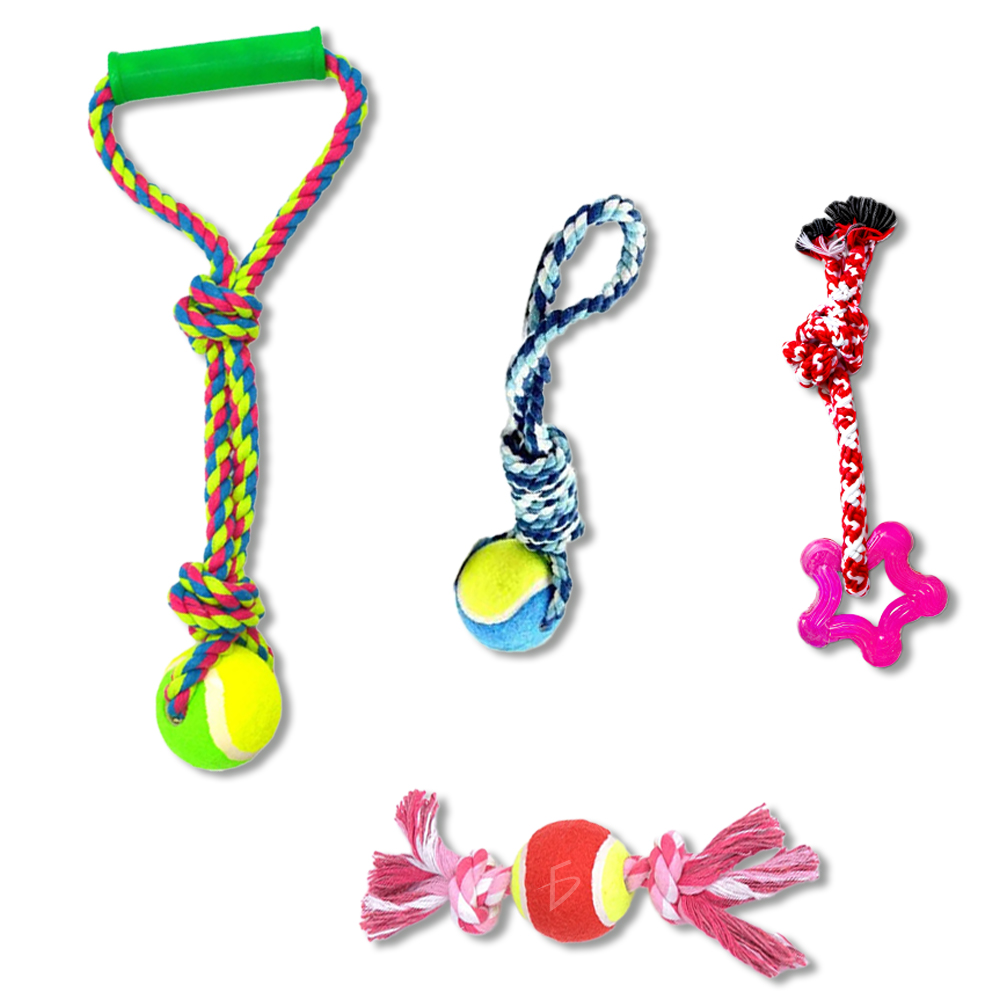 Conjunto de 4 Juguetes Interactivos de Cuerda con Pelota - Image 2