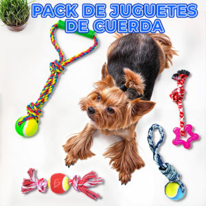 Conjunto de 4 Juguetes Interactivos de Cuerda con Pelota