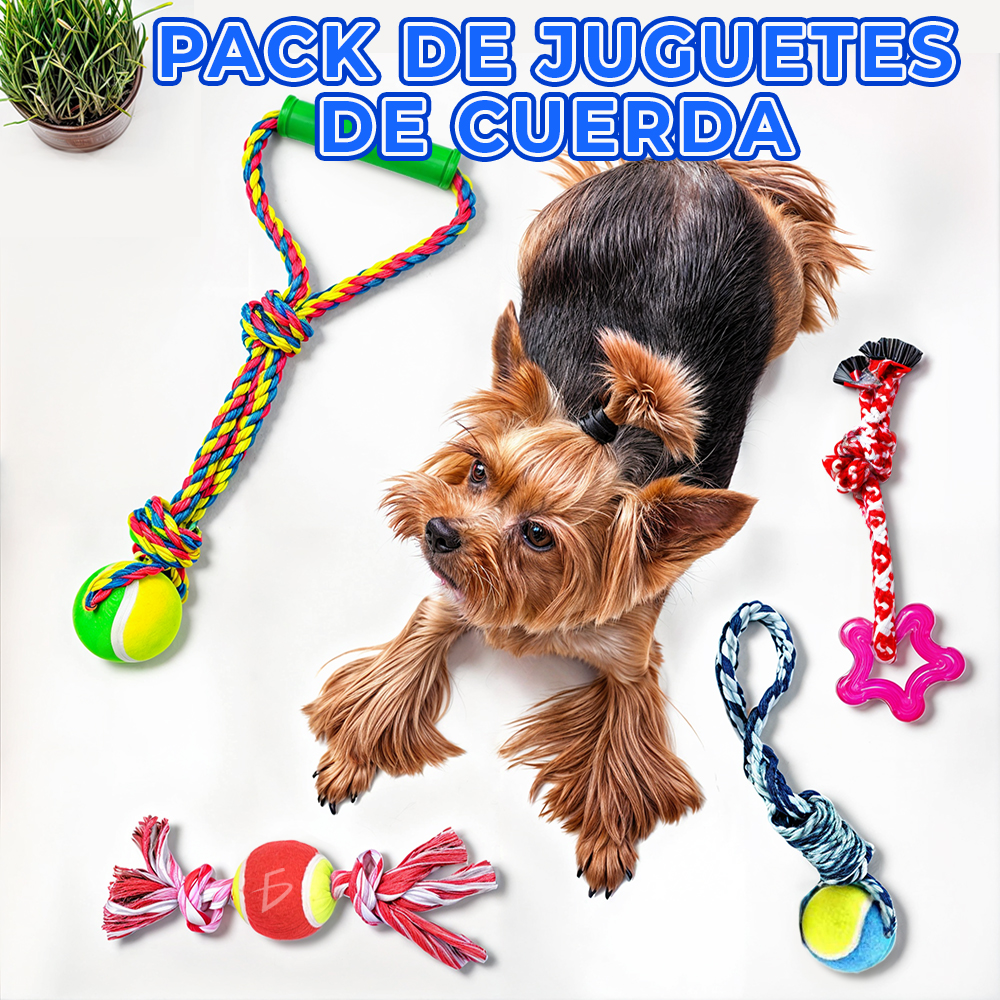 Conjunto de 4 Juguetes Interactivos de Cuerda con Pelota