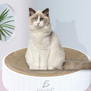 Tablero Circular rascador para Gatos