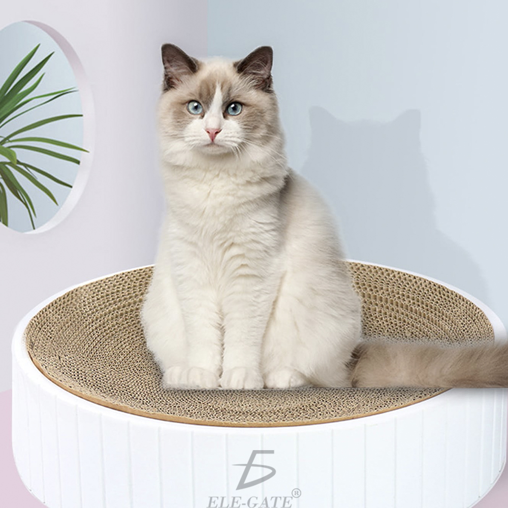 Tablero Circular rascador para Gatos