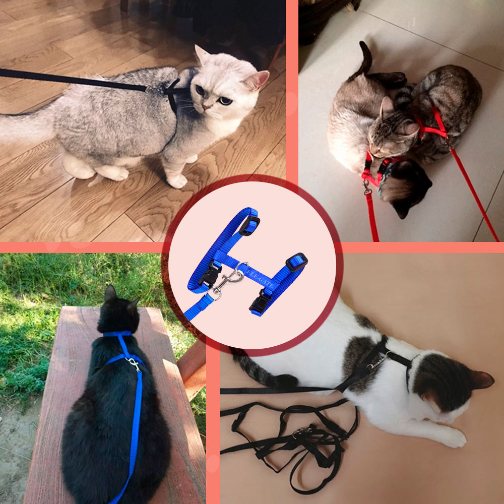 Arnés con Correa para Gatos en Talle Medio - Colores Variados - Image 4