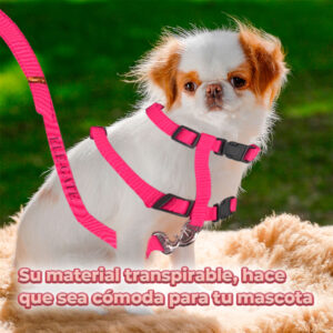 Arnés con Correa para Gatos en Talle Medio - Colores Variados