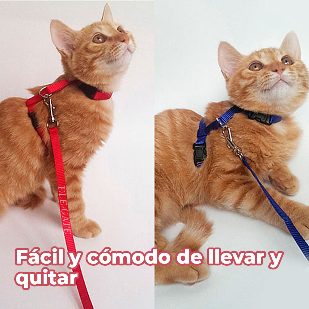 Arnés con Correa para Gatos en Talle Medio - Colores Variados - Image 3