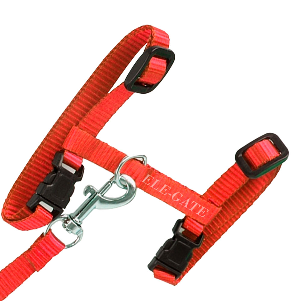 Arnés con Correa para Gatos en Talle Medio - Colores Variados - Image 5