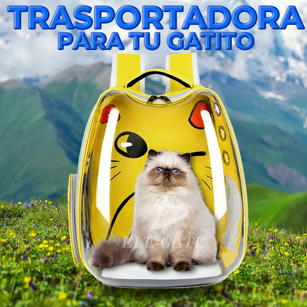 Mochila Portátil para Mascotas con Forma de Orejas - Cómoda y Adorable para Perros y Gatos - Image 5