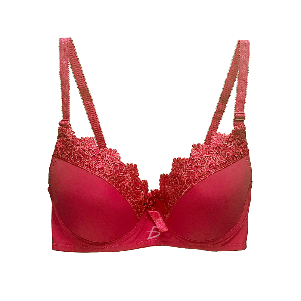 Brasier con Encaje de Copa Completa - Image 4