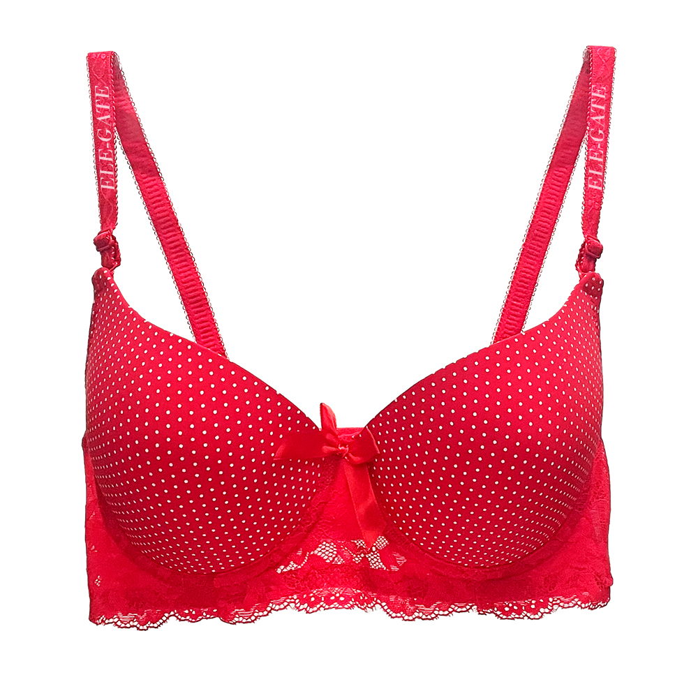 Brasier con Diseño de Puntos con Espalda de Encaje - Image 5