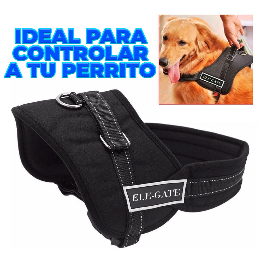 Pretal Reforzado para Perros Grandes - Talla L - Image 5