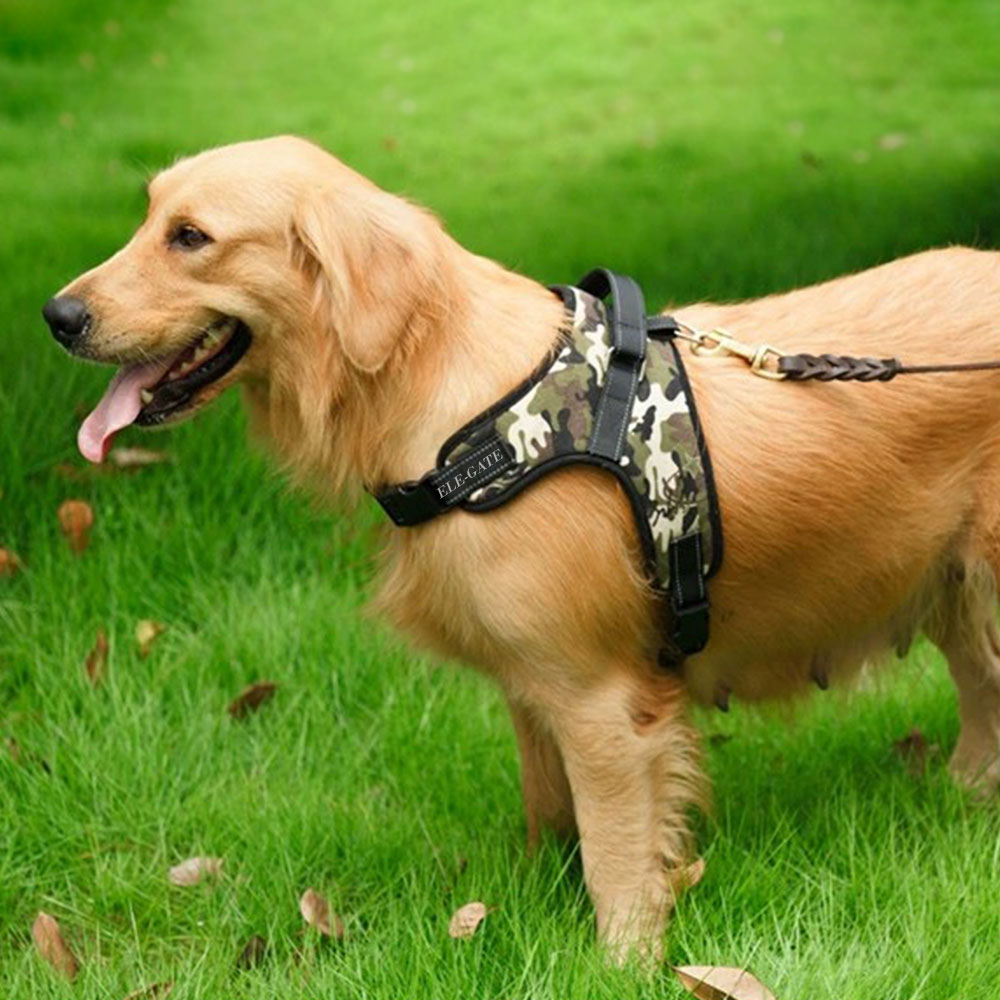 Pechera para Perros Pequeños - Talla S - Image 4