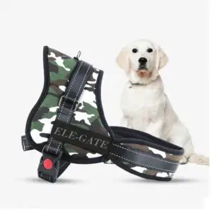 Pechera para Perros Pequeños - Talla S