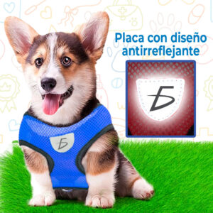 Conjunto de Arnés y Correa para Mascotas - Estilo Transpirable y Cómodo para Paseos y Entrenamiento
