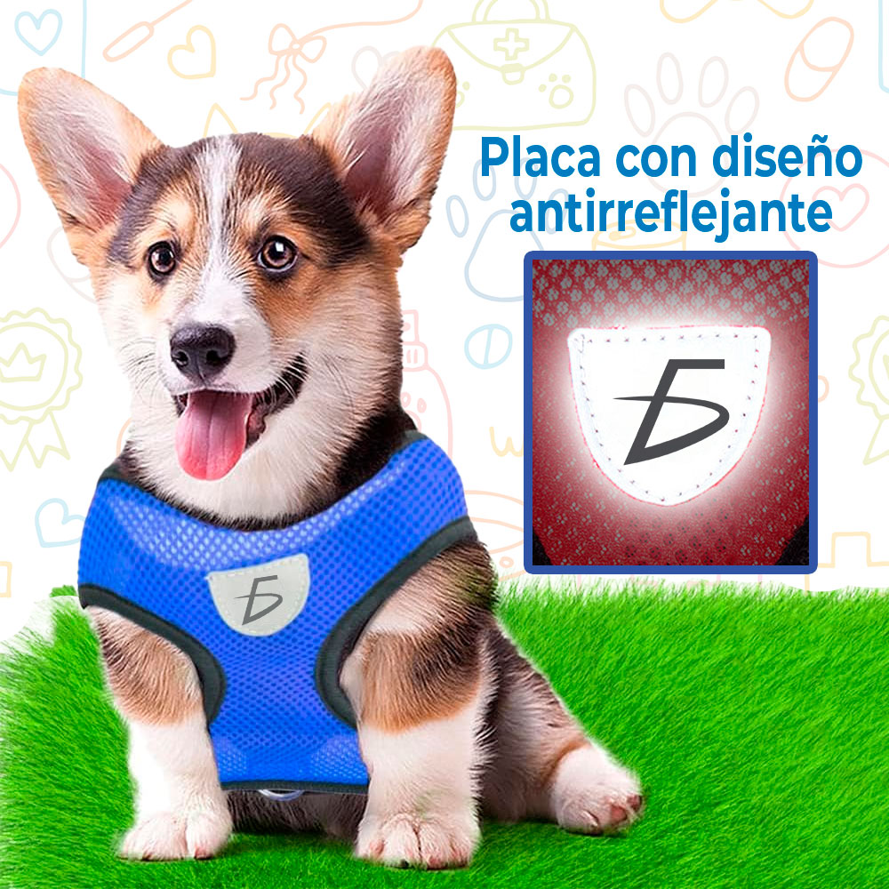 Conjunto de Arnés y Correa para Mascotas - Estilo Transpirable y Cómodo para Paseos y Entrenamiento