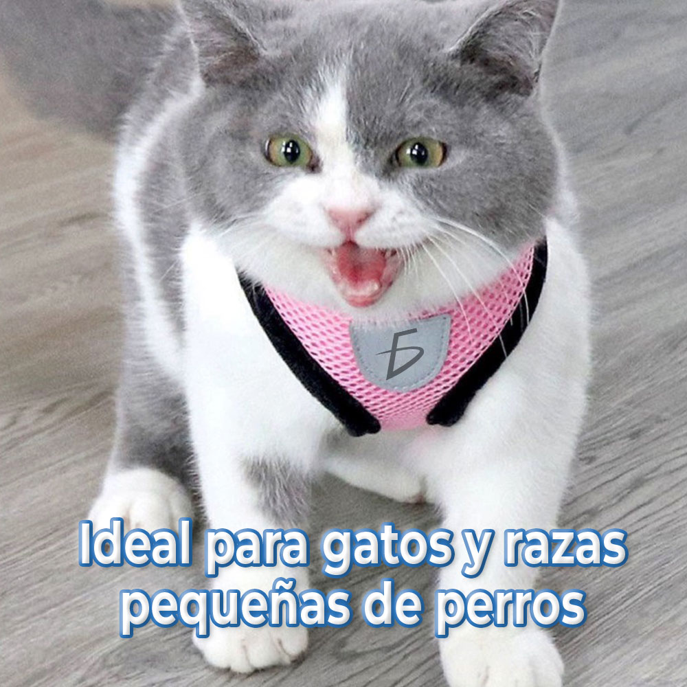 Conjunto de Arnés y Correa para Mascotas - Estilo Transpirable y Cómodo para Paseos y Entrenamiento - Image 2