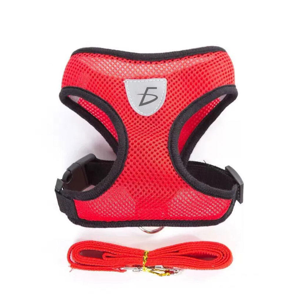 Conjunto de Arnés y Correa para Mascotas - Estilo Transpirable y Cómodo para Paseos y Entrenamiento - Image 5