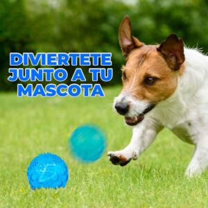 Juguete de Limpieza Interactiva para Perros - Diseño para Masticar y Limpiar Dientes - Adecuado para Perros Medianos y Pequeños