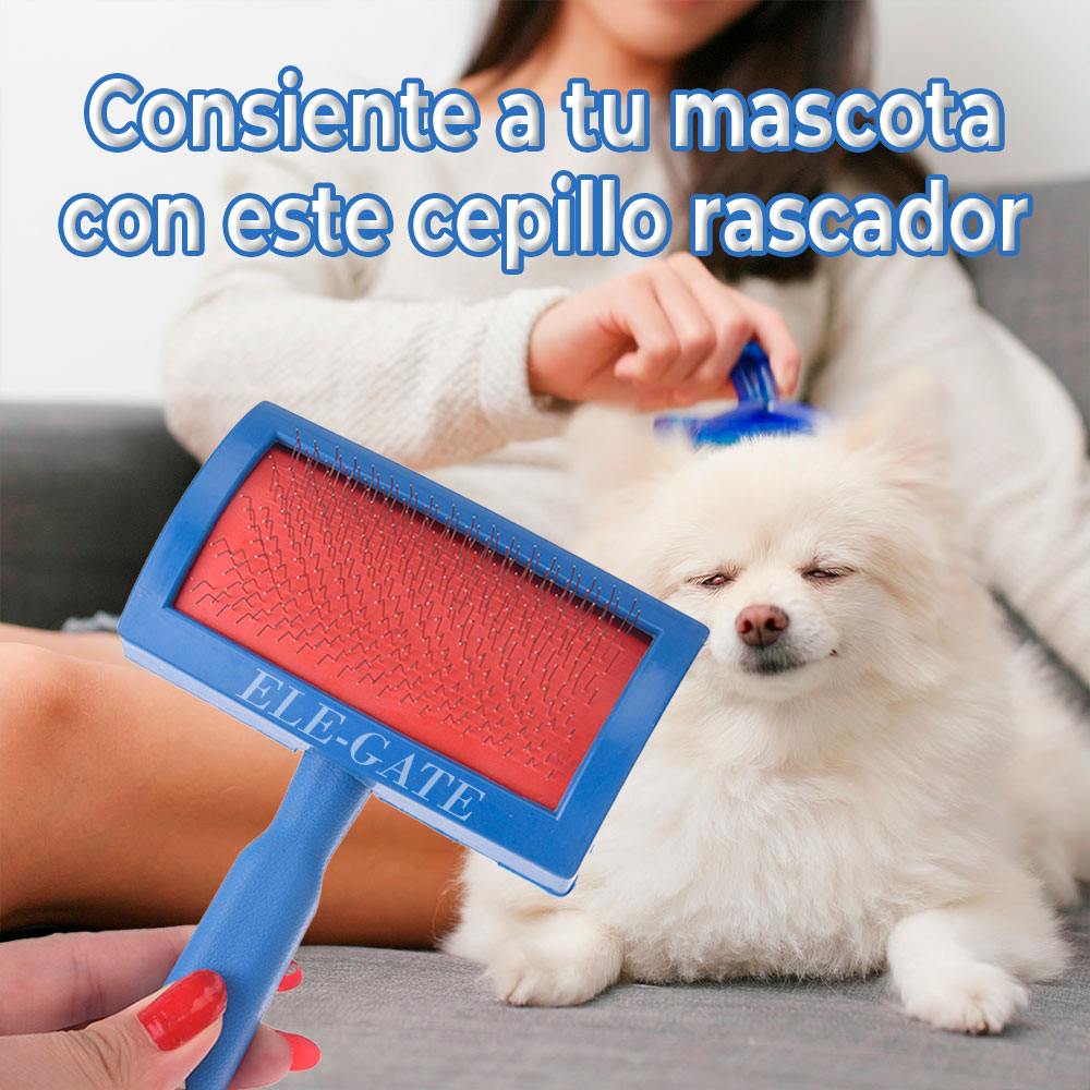 Cepillo Cardina para Perro y Gato con Puntas Protegidas - Cuida el Pelaje de tu Mascota