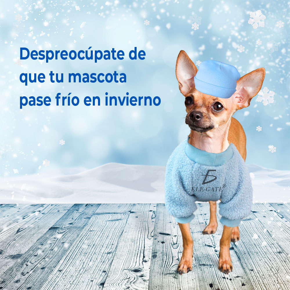 Ropa Encantadora para Mascotas - Sudadera con Muñeco de Peluche para un Estilo Adorable - Image 4