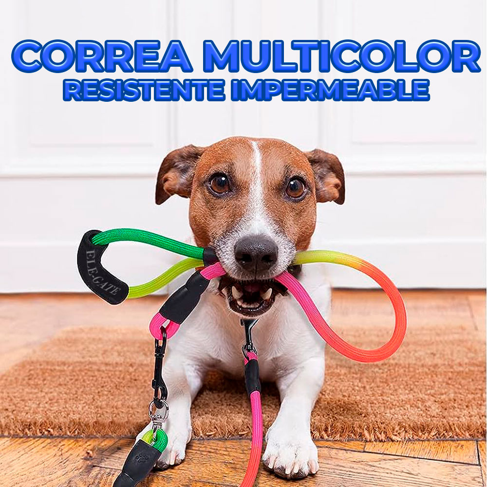 Correa Resistente y Antitirones para Perros Medianos y Grandes - Paseos Seguros y Cómodos - Image 4