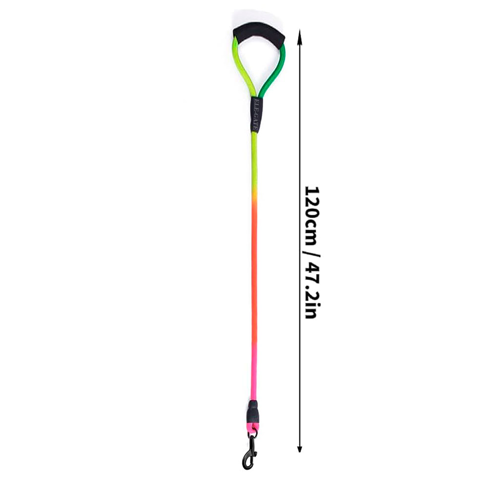 Correa Resistente y Antitirones para Perros Medianos y Grandes - Paseos Seguros y Cómodos - Image 3