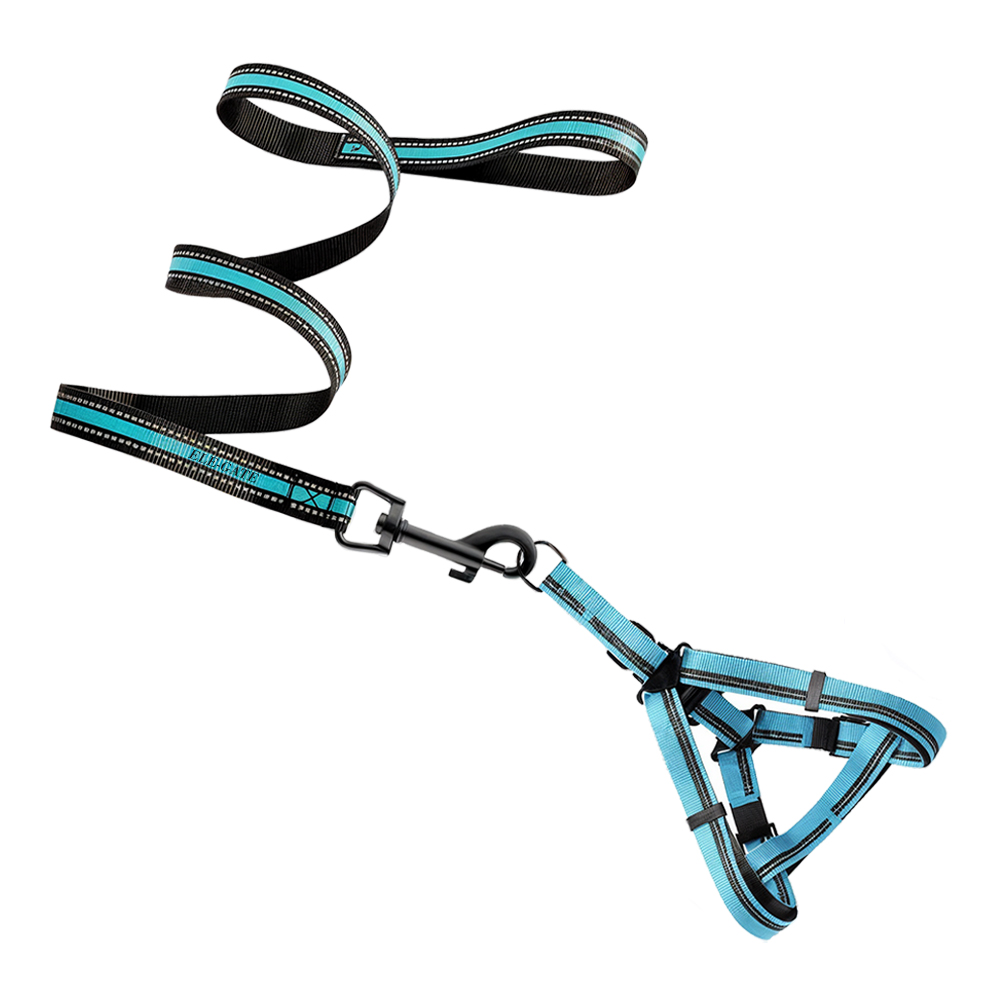 Conjunto de Arnés y Correa para Mascotas - Estilo para Entrenamiento y Paseos Cómodos - Image 3