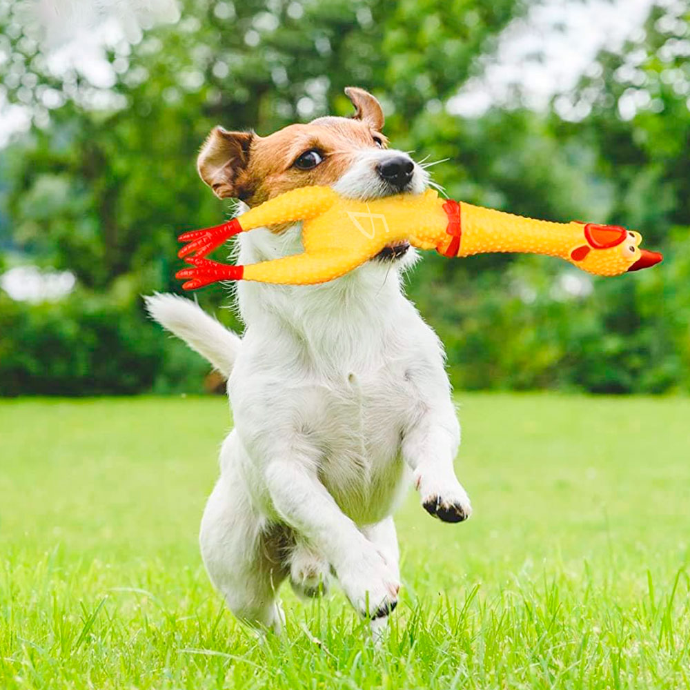 Juguete Pollo para Mascotas con Sonido Real - Diversión Garantizada