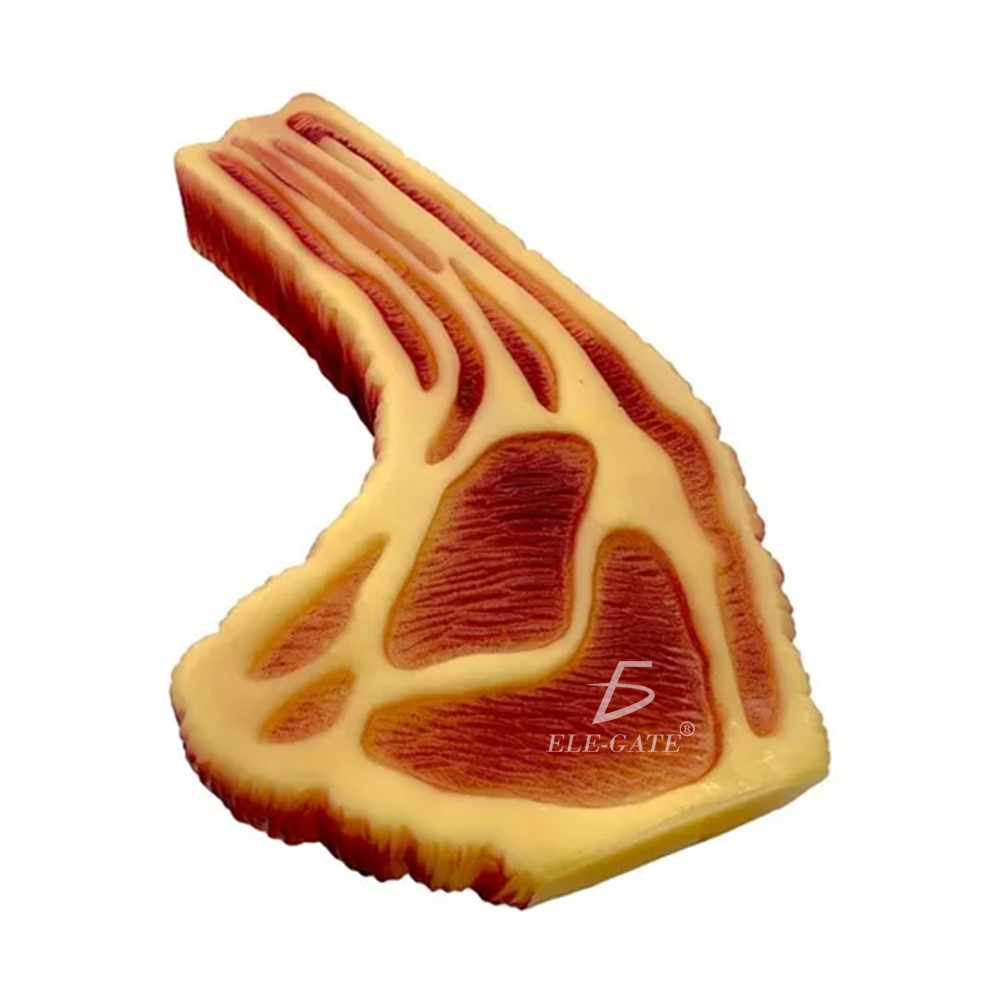 Juguetes Masticables para Mascotas con Chirriante - 3 Juguetes (Color Aleatorio) - Image 4