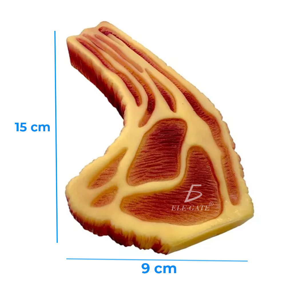 Juguetes Masticables para Mascotas con Chirriante - 3 Juguetes (Color Aleatorio) - Image 5