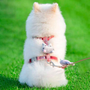 Arnés Cute Antiescape Ajustable para Mascotas - Paseos Seguros