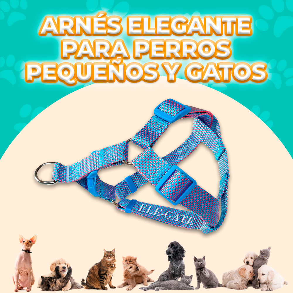 Arnés para Perros Pequeños con Correa Circular - Image 3