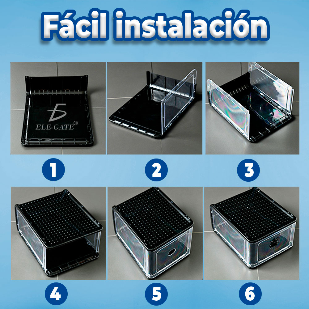 4 PZS Organizador de Zapatillas Transparente: ¡Muestra tus Pares Favoritos! - Image 4