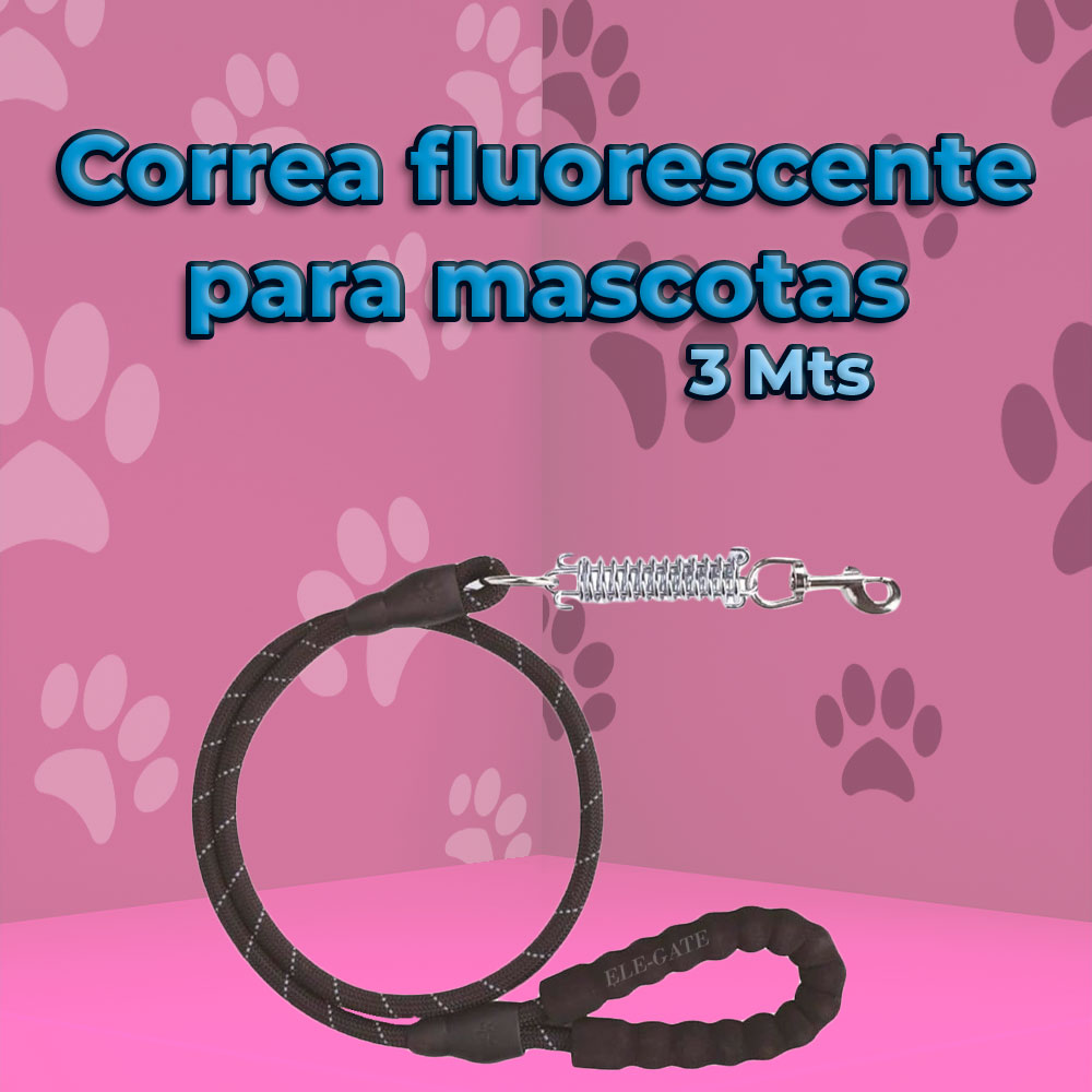 Cuerda de Nailon Resistente para Perros de 3 Metros