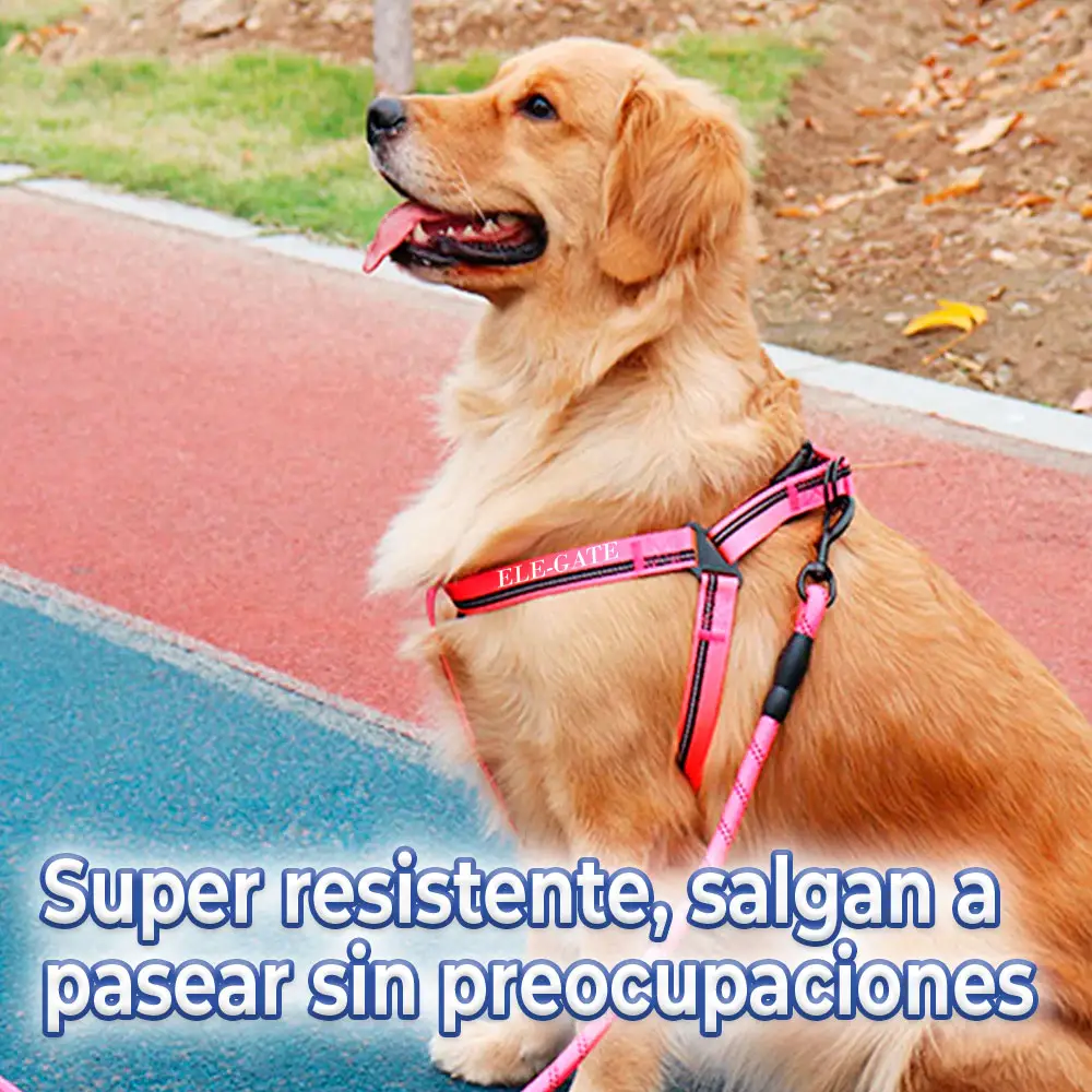 Conjunto de Arnés y Correa para Perros - Comodidad y Seguridad - Imagen 4