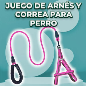 Conjunto de Arnés y Correa para Perros - Comodidad y Seguridad