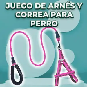 Conjunto de Arnés y Correa para Perros - Comodidad y Seguridad
