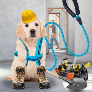 Kit de Arnés y Correa para Perros. Mascotas medianas