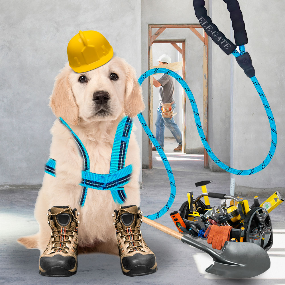 Kit de Arnés y Correa para Perros. Mascotas medianas