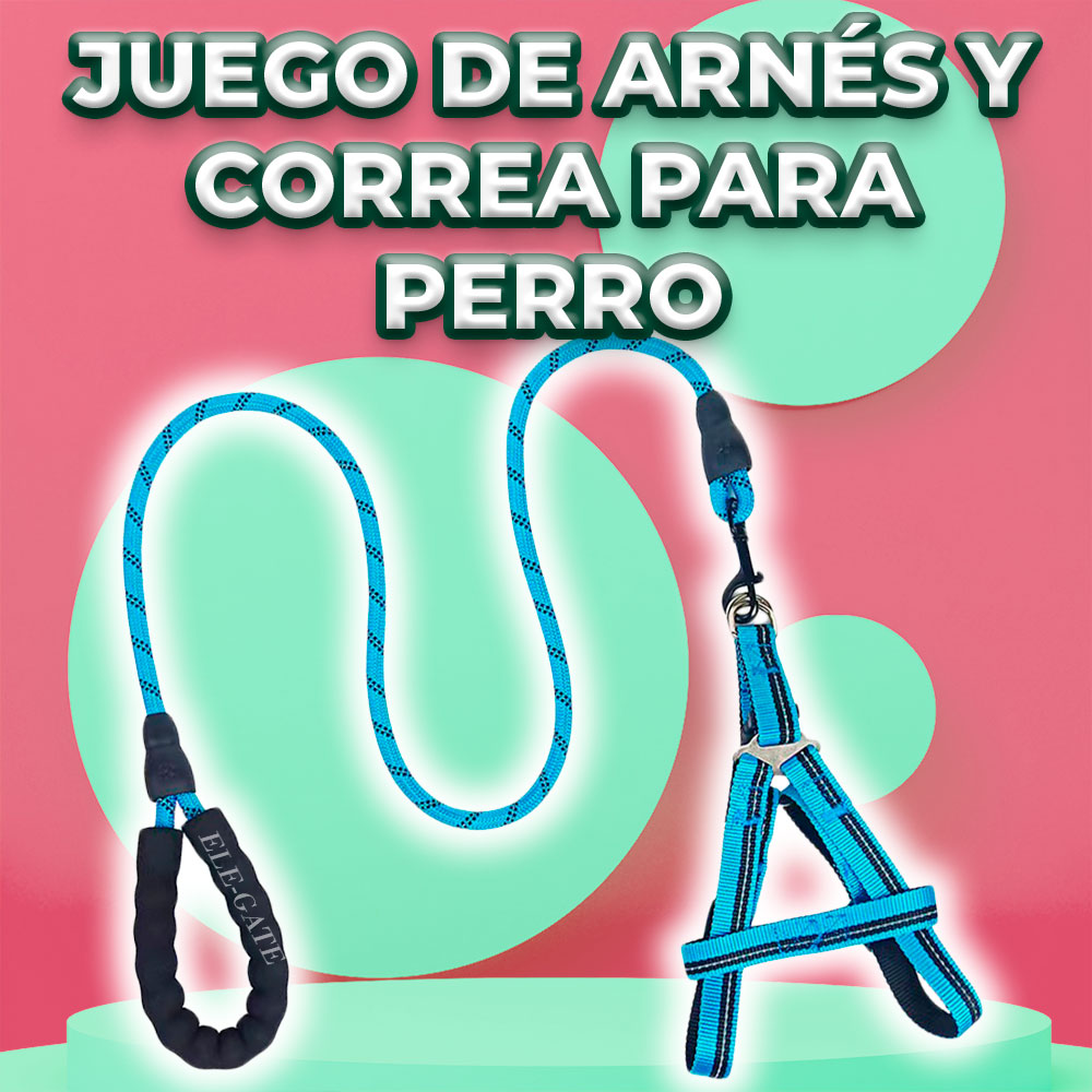 Kit de Arnés y Correa para Perros. Mascotas medianas - Image 3