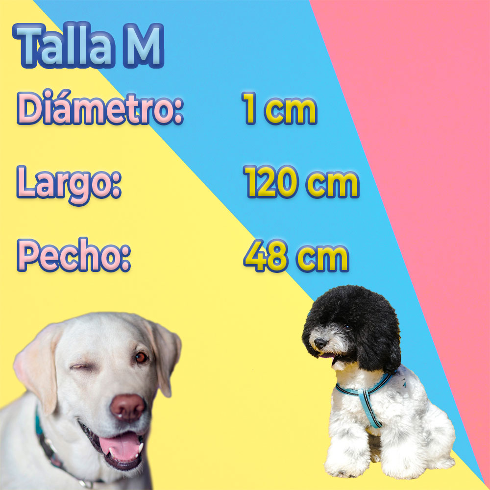 Kit de Arnés y Correa para Perros. Mascotas medianas - Image 4