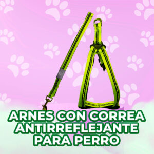 Kit de Arnés y Correa de Nailon Reflectante para Perros - Paseos Cómodos y Controlados