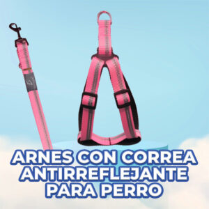 Conjunto de Arnés de Nailon Reflectante y Correa para Perros - Comodidad y Control para Tus Paseos