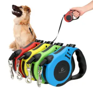 Correa Retráctil para Perro de 5 Metros - Ideal para Paseos sin Estrés