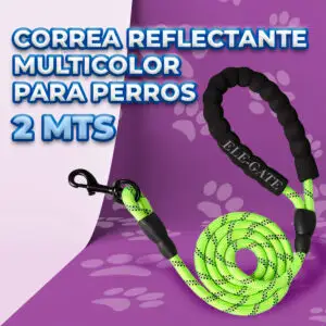Correa de Perro Reflectante Resistente de 2 Metros con Asas Dobles