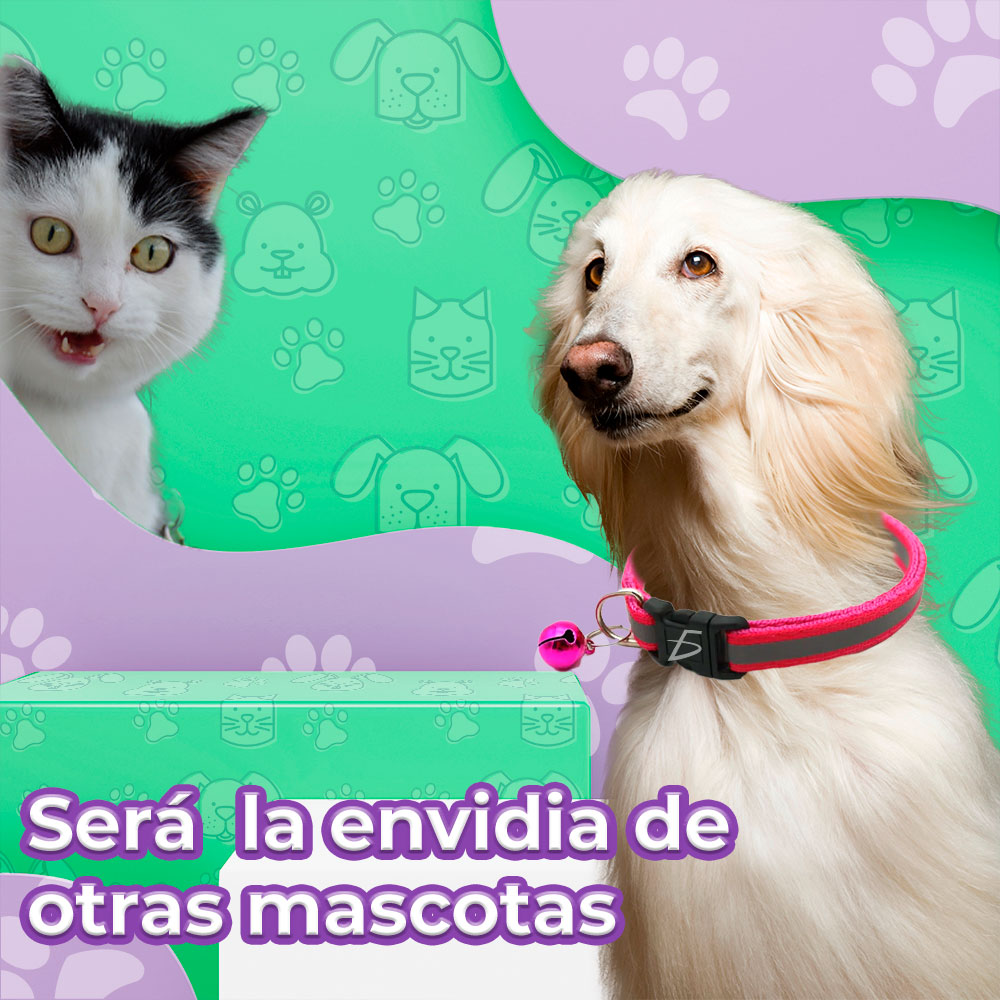 Collar Reflectante con Campana para Mascotas - Ajustable (19-32 cm) de 1 cm de Ancho - Image 2