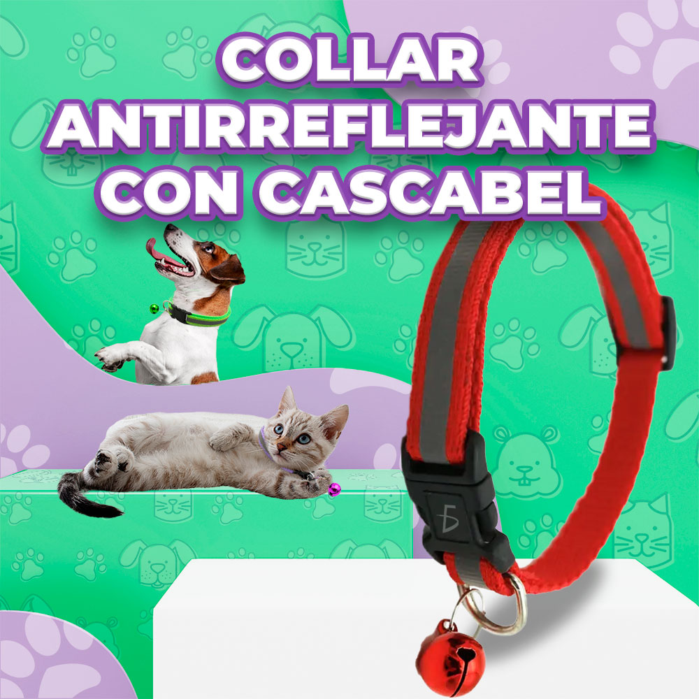 Collar Reflectante con Campana para Mascotas - Ajustable (19-32 cm) de 1 cm de Ancho