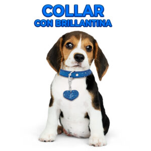 Collar Bling para Mascotas con Colgante en Forma de Corazón (Tamaño M)